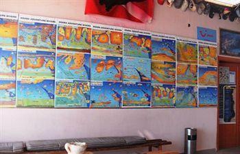 Adventure Divers & Dive Center Bed & Breakfast